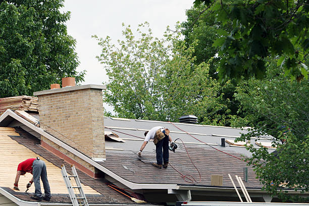 Best Roof Gutter Cleaning  in Paintsville, KY