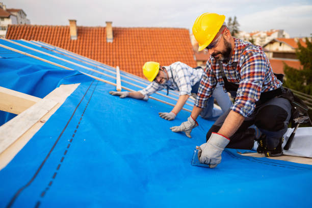 Best Emergency Roof Repair  in Paintsville, KY