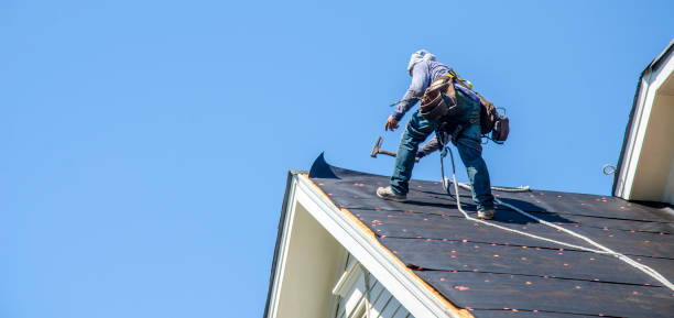 Best Flat Roof Repair Services  in Paintsville, KY